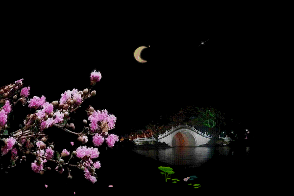 ɳ  Ц쳾 ɳ,Ц쳾, Ͻ 012759lxtr2uq2oy66060w