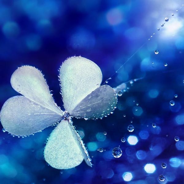 ҹ/ĸǵѩ ҹ,ĸ,ѩ ִʫ 105538gzro4r9odqbj8q4j