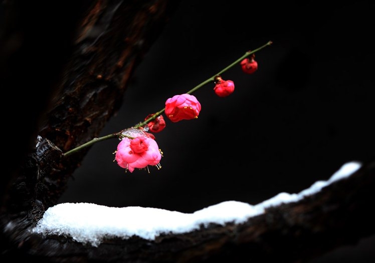 遇上你是我的缘 现代诗歌 你是我的,我的 105640j2ekhrkyji2iiiux 4 遇上你是我的缘 你是我的,我的 现代诗歌 105640j2ekhrkyji2iiiux