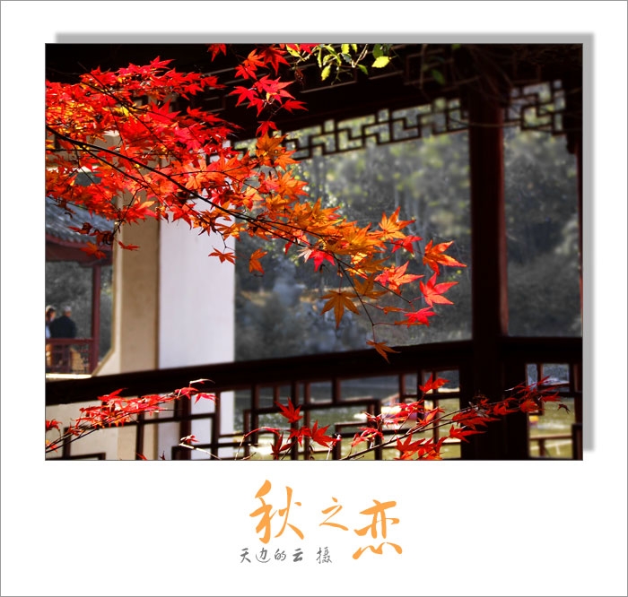 .֮ ģ ,֮ Ͻ 221801ofc41joo6to6sc6c