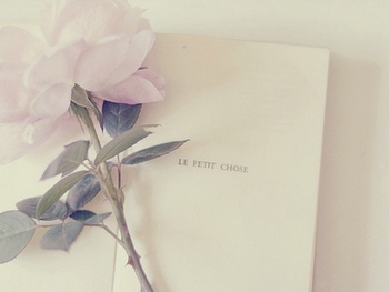 ִִƳ(ꤣ ִ,, Ͻ 184751d6vm4y9s9c3z6y8s