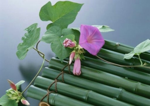 ܰŸ ɾ ֣ ܰŸ,Ÿ,,ɾ, ִʫ 150419zxx5af61l6zd6f5g