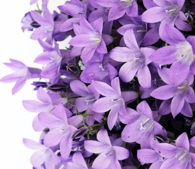   Ͻ 153406zdalbygxyzyaglal