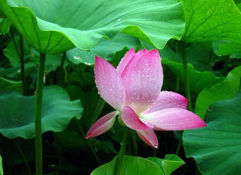 ¹ơ ¹ ִʫ 123153mvb6bsmvs6mhc96c