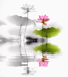 eĉmи и ִʫ 011823c1m3449u4ipm3iq8