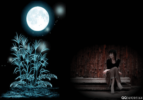 ɴ/ꤣӣ ,,, Ͻ 004116odmdcsil3v3a3ucu