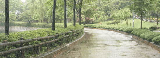   Ͻ 154030dquti2jhgujudgiu