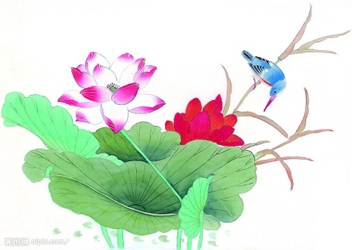 ʮ    - ʮ, Ͻ 165241yzy3iy410iaofmiv