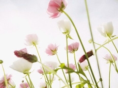 㡣  ִʫ 103454mh1hrzd367xy0e44