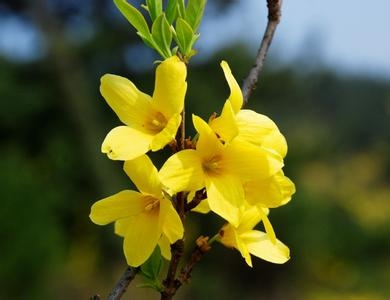 ʱ⣬˭     /ѩ ʱ,ʱ, ִʫ 154806ki0m45z7dwtmmv9d