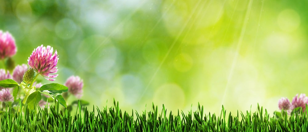 ˮ ˮ ִʫ 112553l365bn4xz35xuxnp