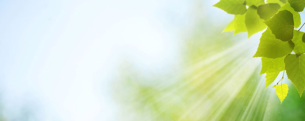 ˮ ˮ ִʫ 112554zvv8nvpgj85vjg2a