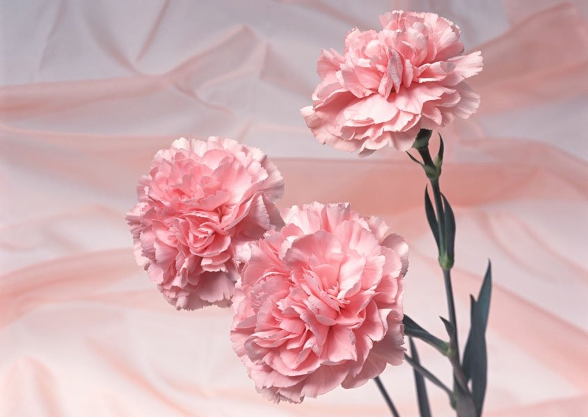   Ͻ 231107psiy3mq649ij0626