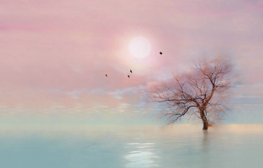 Ѥģɽɣ ,Ѥ,ɽ, Ͻ 160303f4bjvtbeke03k3eu