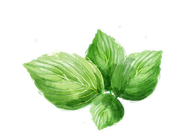  , Ͻ 175951z2uxktsshh6xbedb