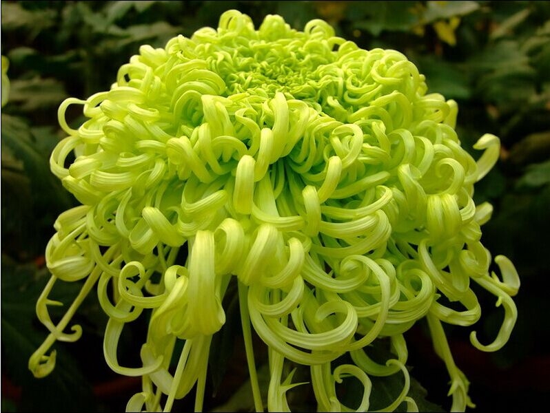     ִʫ 173851g6ziasq7e0e70n40