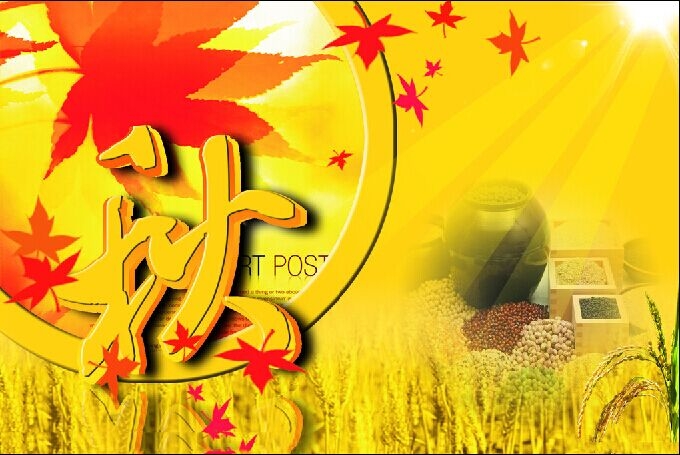     ִʫ 173853td1yyykeyxwbgro4