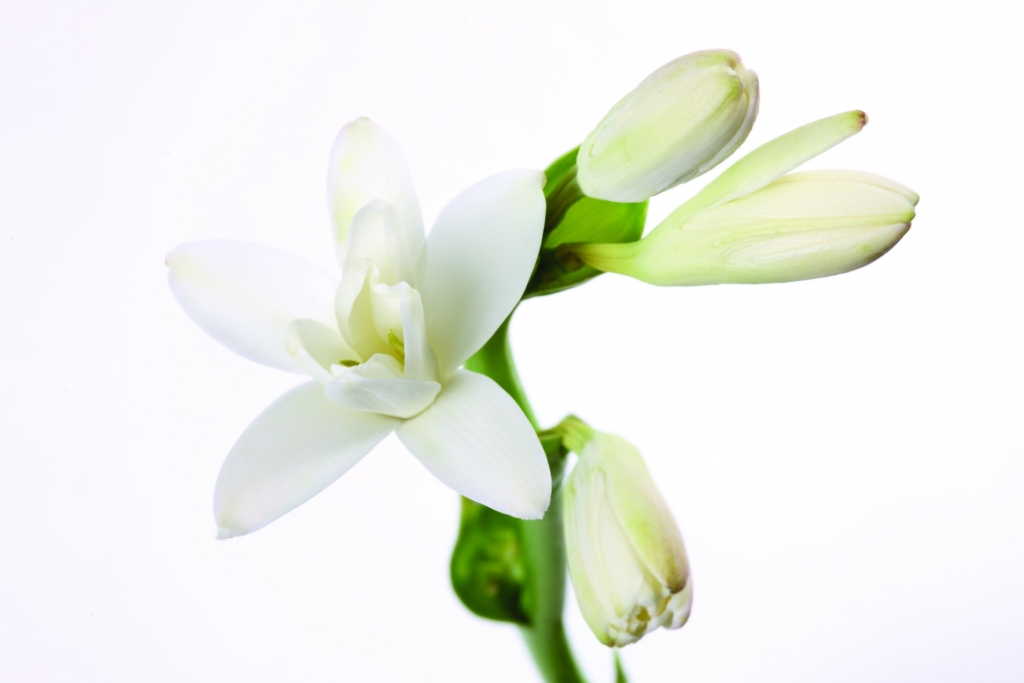 ߾ꤾ    򻨿Ȼࣩͬ ߾,,򻨿,, Ͻ 204915qafog1v7vub79zy9