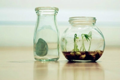 ʦԶ ʦ,Զ ִʫ 082340r2hdgezo301g8p30