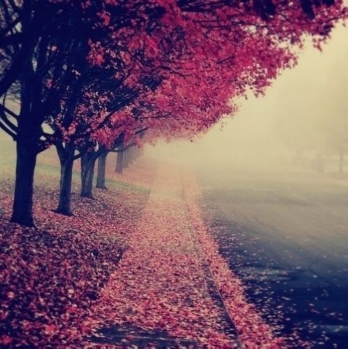 ͥ*̾ɣ.˼ױ ɣ Ͻ 044535pj87qcyzq4j5bccb