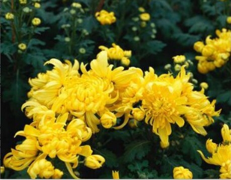 ӽ   Ͻ 164729z8nay7kn6u1n3npj