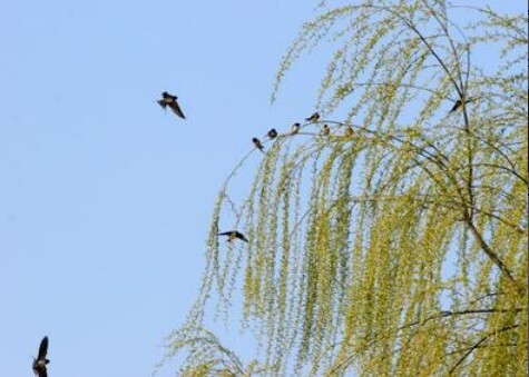 ӽ   Ͻ 164739rz1kdoebg38l7k1d