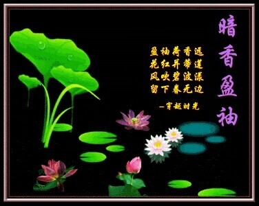 ߾*ԾƵ근 ԾƵ, Ͻ 193013zmki7kr7w91uwrtm