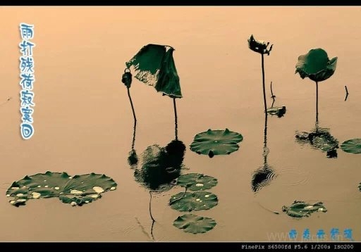   ִʫ 143420ea62rjn127p7561c