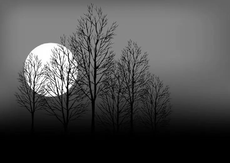 ޺ ޺ Ͻ 130408ydand5o6dea6jpa4