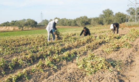 ɽ˺ģɽɣ ˺,ɽ, Ͻ 133909gjcrrxp0l5550f00