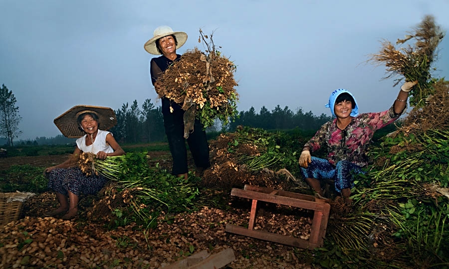 ɽ˺ģɽɣ ˺,ɽ, Ͻ 133914yxp227xw7pz3dw2x