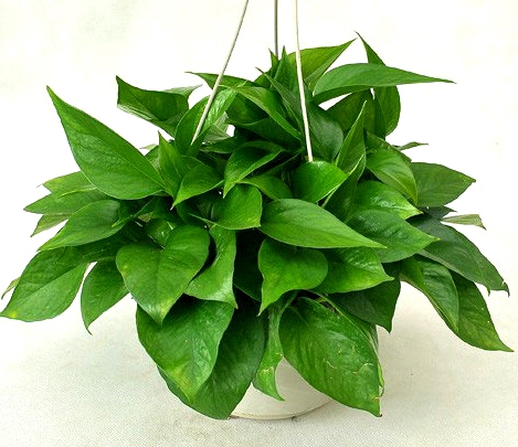    , Ͻ 223428bbob7td4h0ddftd4