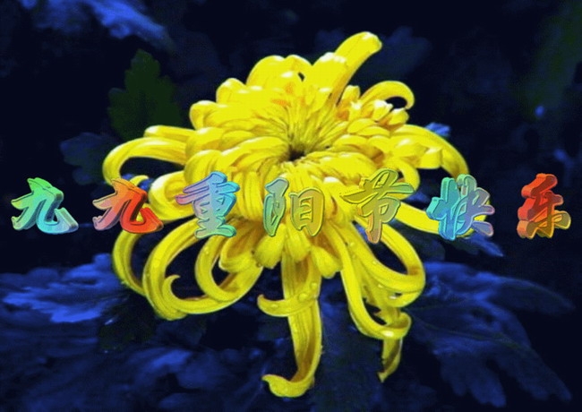 ɡ㻳    / ,,㻳, Ͻ 140631c8prhh4qru4zz61y