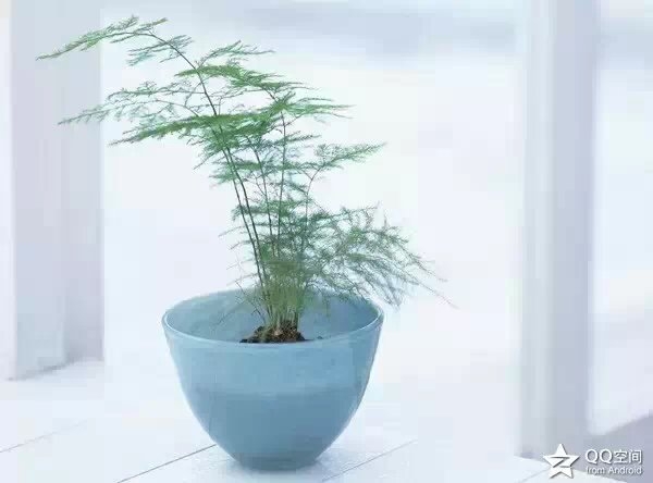 һɢ߾δ ɢ ɢ 101306qd0f0j0a670k16z1