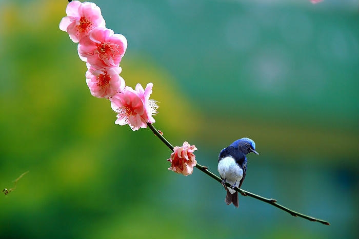   ִʫ 190314z64pz4ebz7lbe6zj