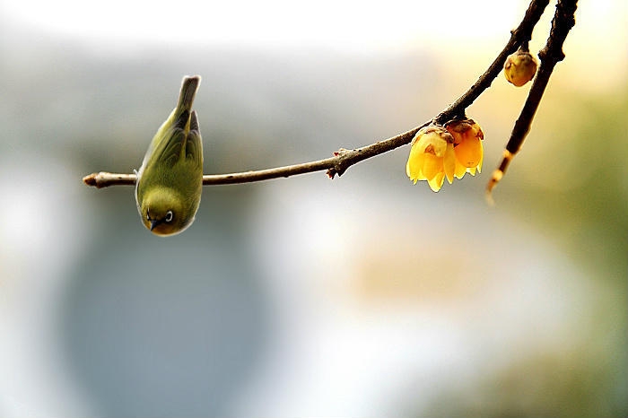   ִʫ 190321h60b76vrzck3vxvx