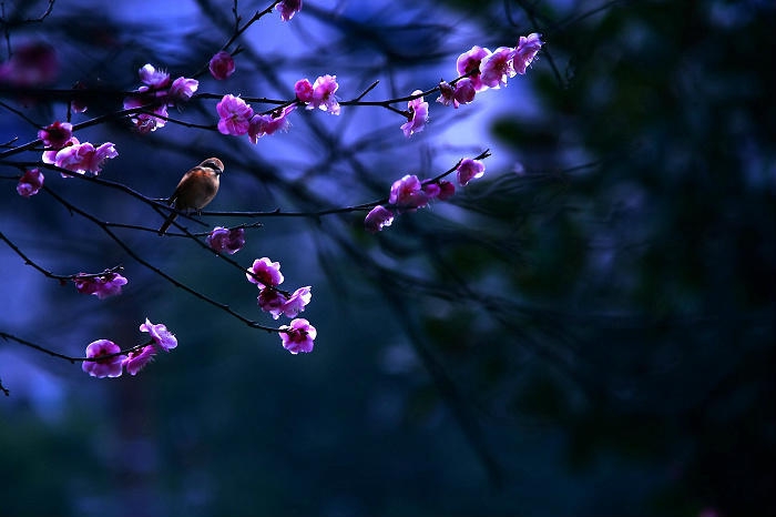   ִʫ 190329wrm80ds0csxfe38r