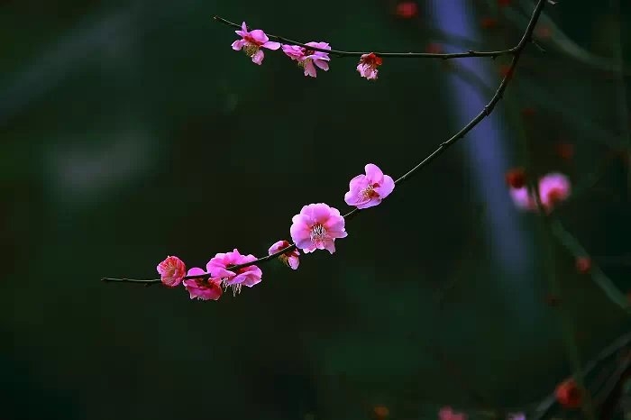   ִʫ 190341ury6ptelyqqftv3e