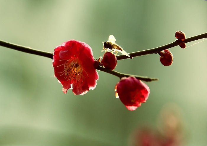   ִʫ 190352aw71qer7w7rtcttu