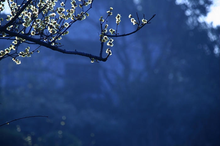   ִʫ 190404pnibai1e28gfyi1j