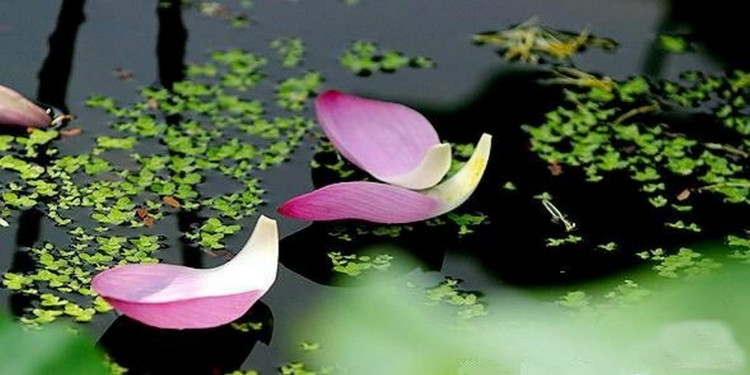 ߾£ͼд⣩ǣ ߾,,ͼ,д, Ͻ 113714vfqbnyok4p5ksae4