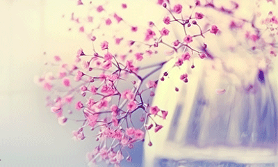 ƮĻ  ɢ 140448zgtqgfhykvooqyph