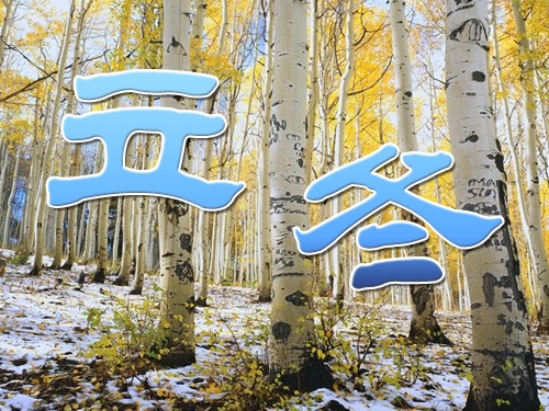 ߾() ߾,, Ͻ 115730bbo0jtbjhobtoyoo