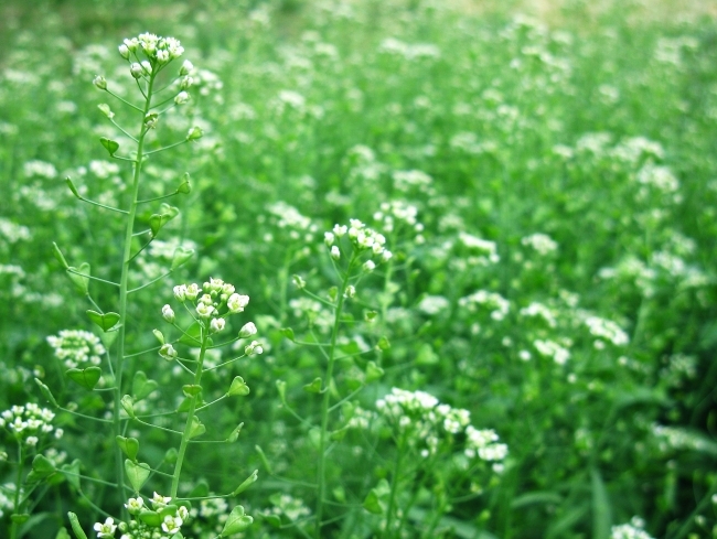 ˣģɽɣ ,,ɽ, Ͻ 122743celzpqdpnqz3zqdn