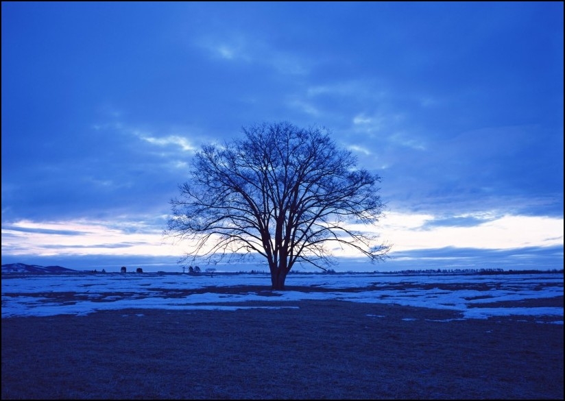 ķ  ִʫ 220908ggk3tzzge2k6kord