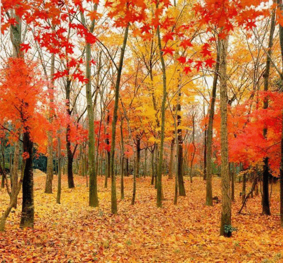   Ͻ 154320voffu48jpt4nh5nu