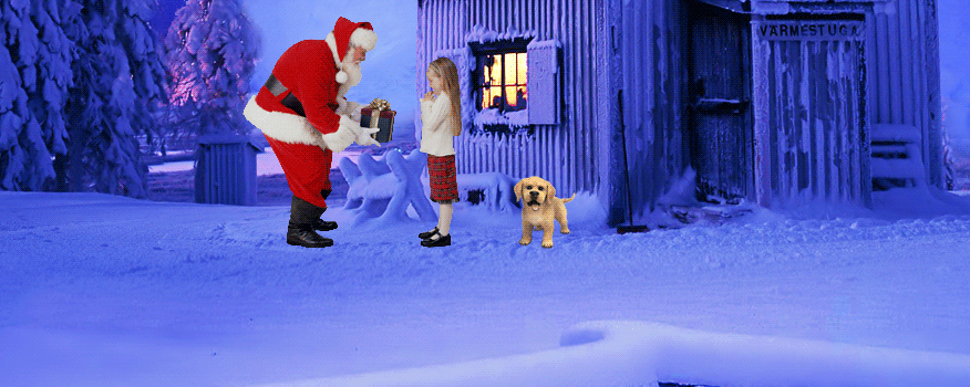 ʥҹף ʥҹ ִʫ 143447p6jnjanjtpk9t0an