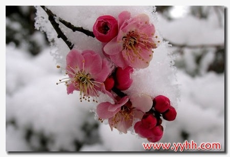 ߾▪÷ף ߾,÷ Ͻ 160623kxclpgqr1jrmijeq