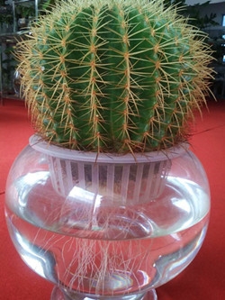 ͼд⡿߾ǣ ͼ,д,߾,, Ͻ 115516qzlqmjq464pzuzxp