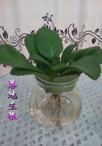 ߾(ͼд) ߾,,ͼ,д Ͻ 130848itddkdtmdhk5vjlt